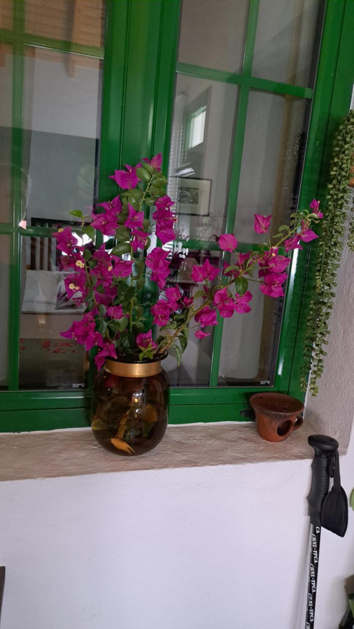 Casa Santana Segura Guest House Tejeda  Bilik gambar