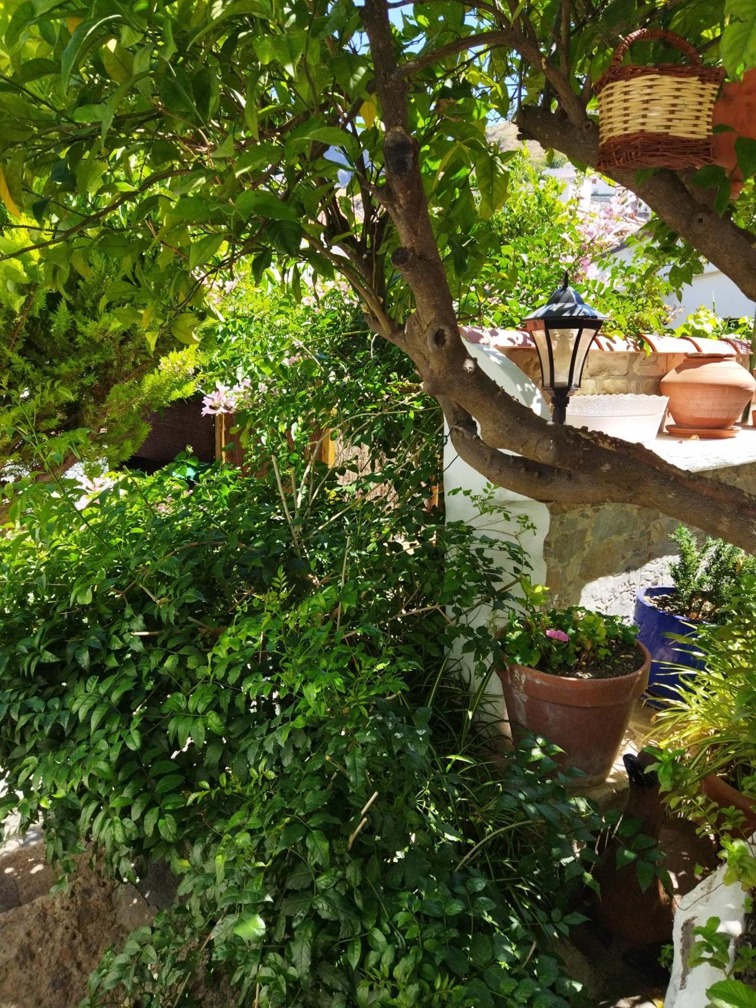 Casa Santana Segura Guest House Tejeda  Bilik gambar